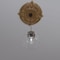 Ekena Millwork Attica PVC Ceiling Medallion (Fits Canopies up to 7 3/4"), Bright Coat Gold, 22"OD x 3 1/2"ID x 1"P CMP22ATBGL - alternate 8
